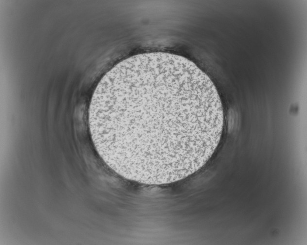 X0000113221059200910221120