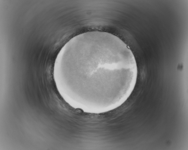 X0000113221060200910221120