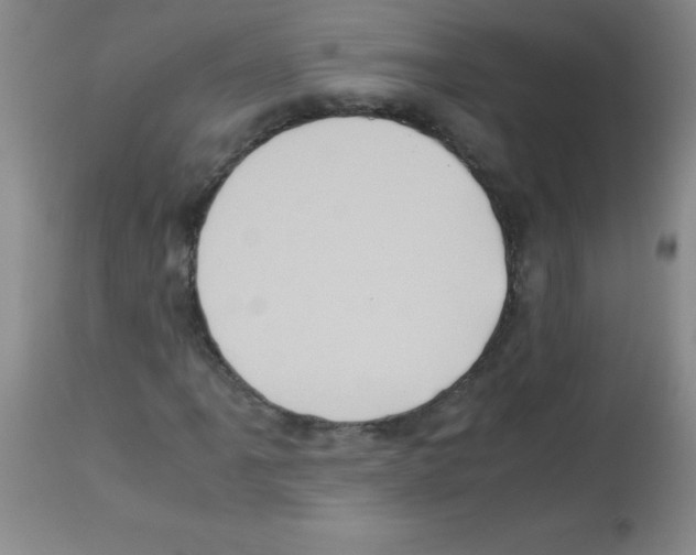 X0000113221061200910221120