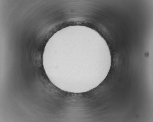 X0000113221062200910221120