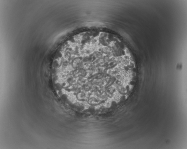 X0000113221063200910221120