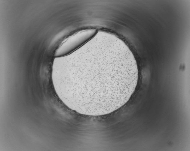 X0000113221064200910221120