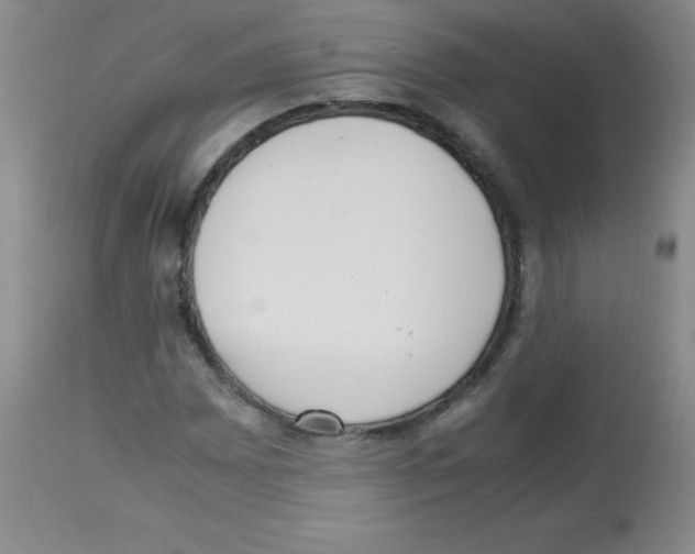 X0000113221065200910221120