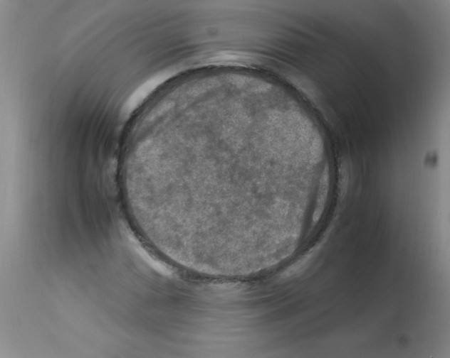 X0000113221066200910221120