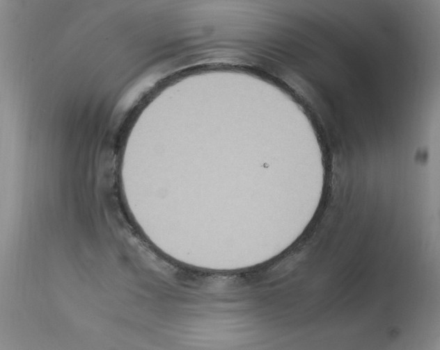 X0000113221067200910221120