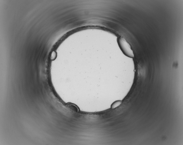 X0000113221068200910221120