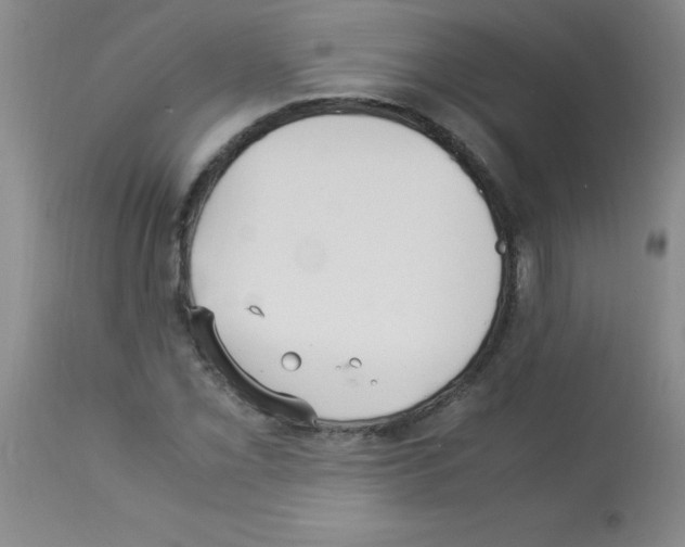 X0000113221069200910221120