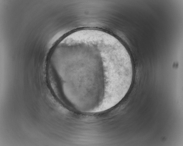 X0000113221071200910221120