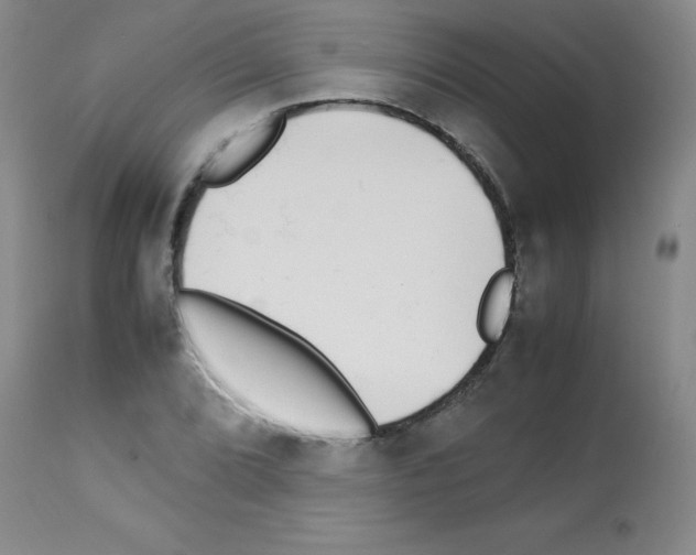 X0000113221072200910221120
