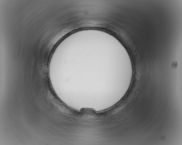 X0000113221073200910221120