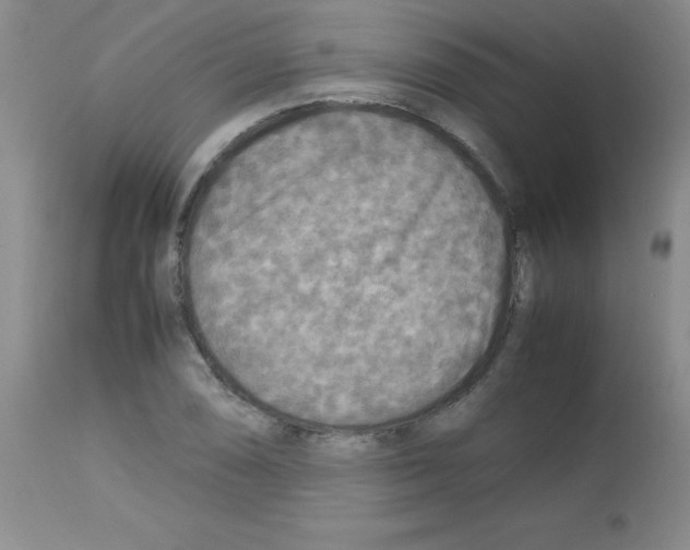 X0000113221074200910221120
