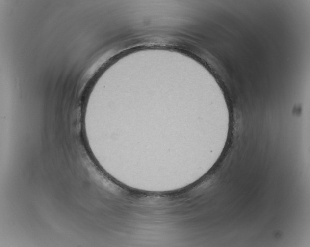 X0000113221075200910221120