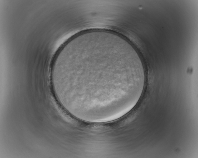 X0000113221077200910221119