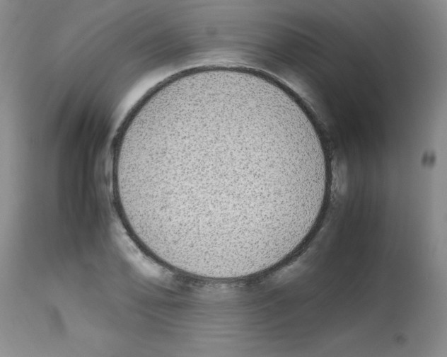 X0000113221078200910221119