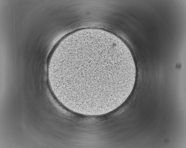 X0000113221079200910221119