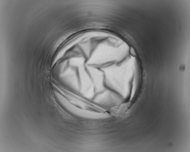 X0000113221081200910221119