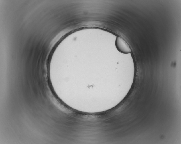 X0000113221082200910221119