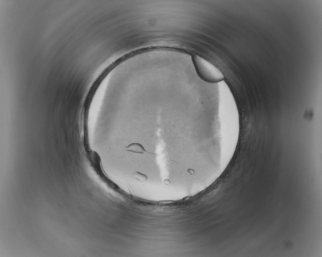 X0000113221084200910221119