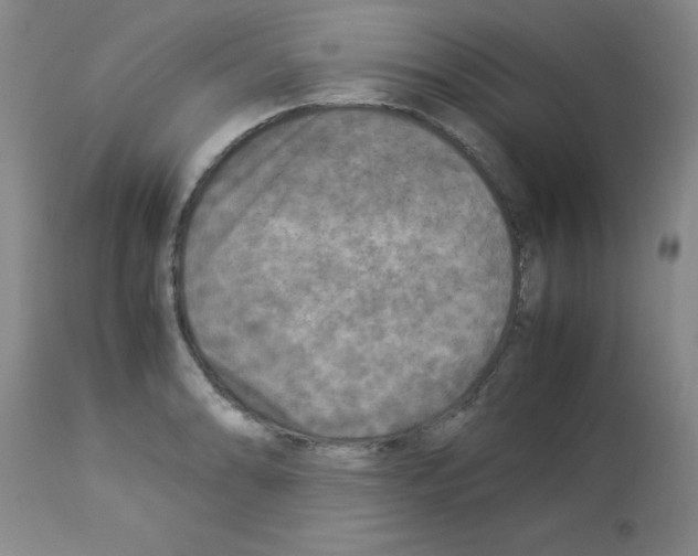 X0000113221086200910221119