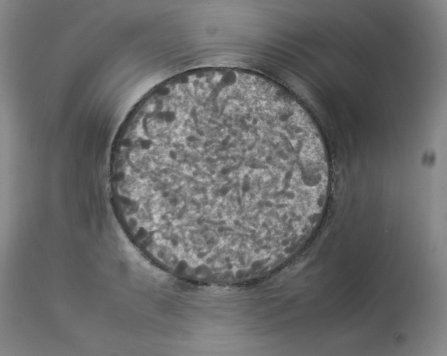 X0000113221087200910221119