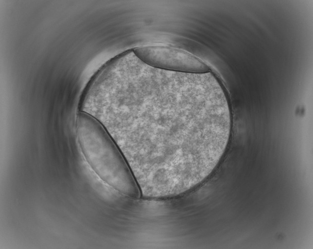 X0000113221088200910221119