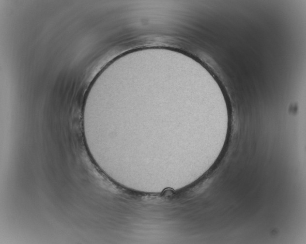 X0000113221089200910221119