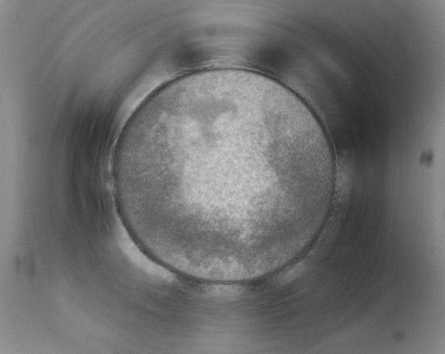 X0000113221090200910221119
