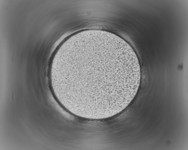 X0000113221091200910221119