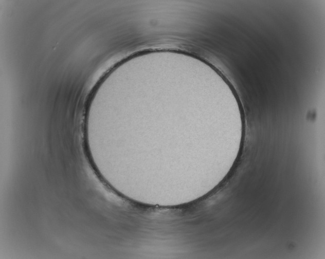 X0000113221093200910221119