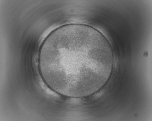 X0000113221094200910221119