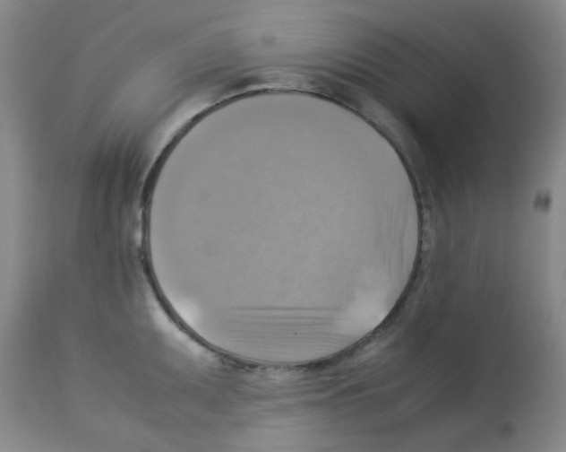 X0000113221095200910221119