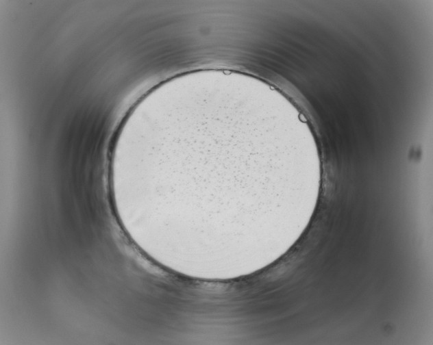 X0000113221096200910221119