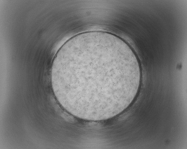 X0000113221097200910221119