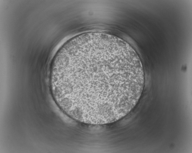 X0000113221099200910221119