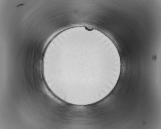 X0000113221100200910221119