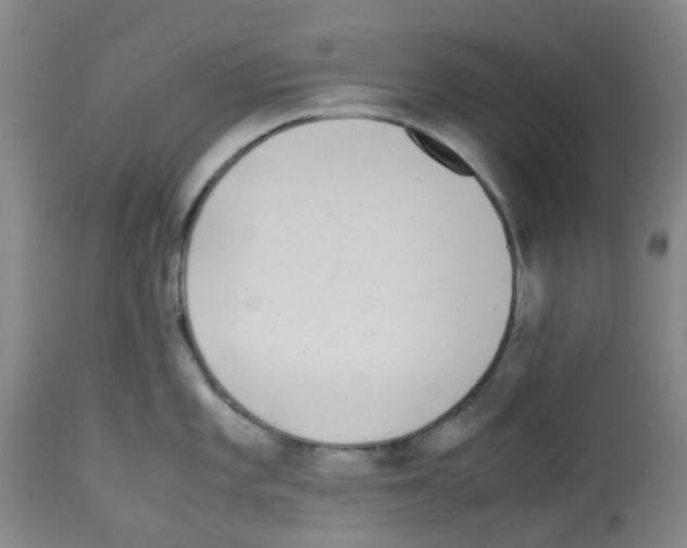 X0000113221101200910221119