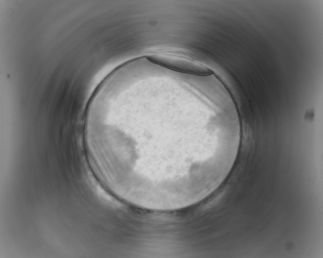 X0000113221102200910221119