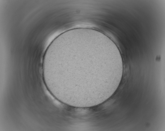X0000113221103200910221119