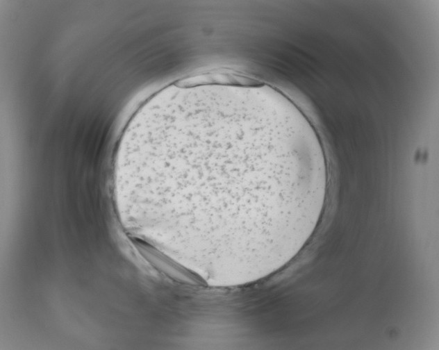 X0000113221104200910221119