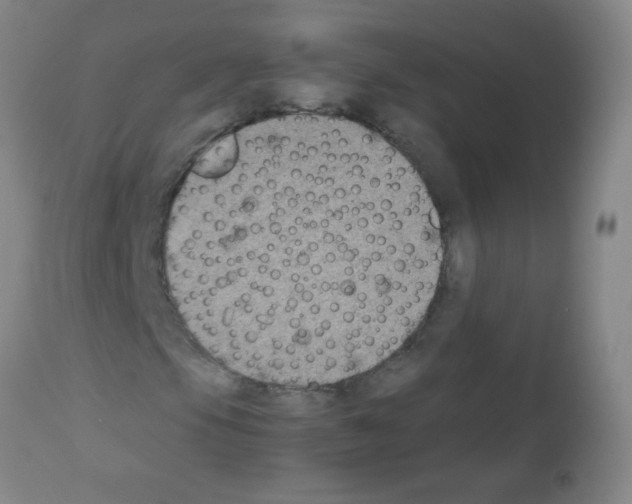 X0000113221105200910221118