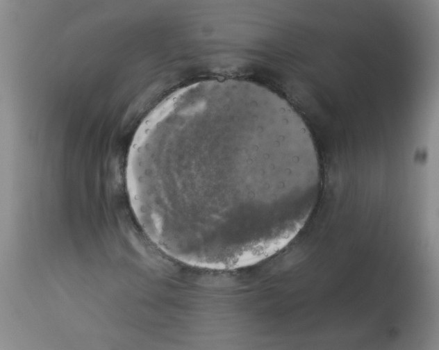 X0000113221106200910221118