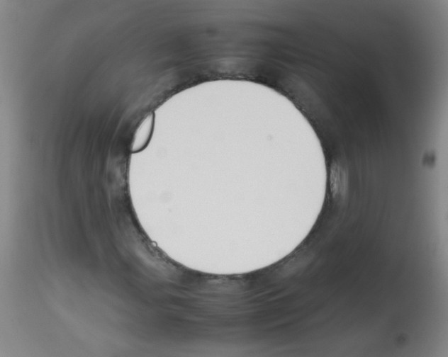X0000113221107200910221118