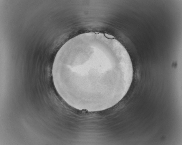 X0000113221108200910221119