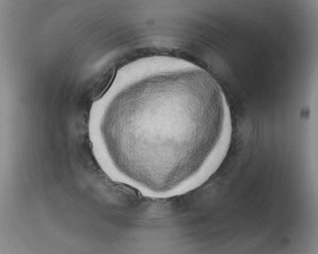 X0000113221110200910221119