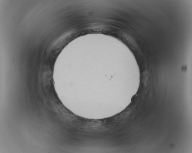 X0000113221111200910221119