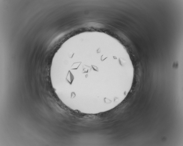 X0000113221112200910221119