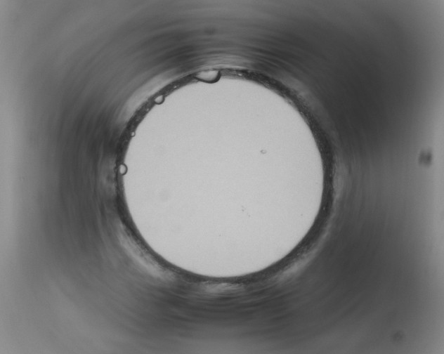 X0000113221113200910221119