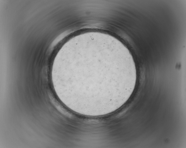 X0000113221114200910221119