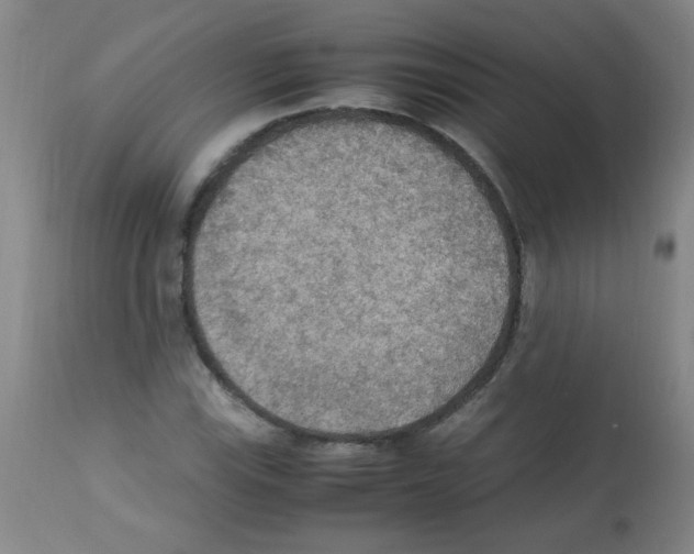 X0000113221115200910221119
