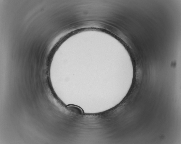 X0000113221116200910221119